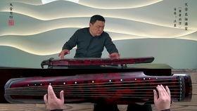 天音琴在线视频