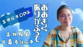 4虎兔费在线视频,热门内容背后的精彩故事