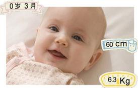 宝宝实时在线视频