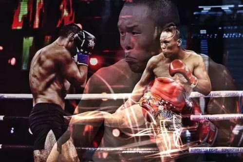 另类拳在线视频