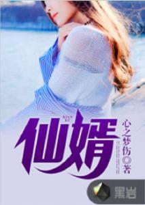 仙婿在线视频小说阅读,穿越时空的奇幻姻缘