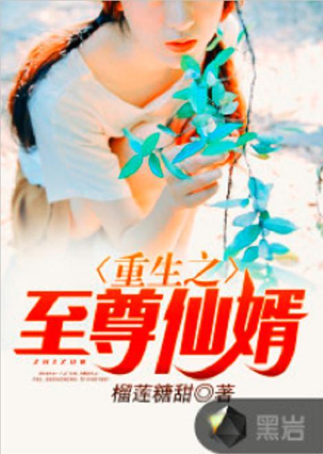 仙婿在线视频小说阅读,穿越时空的奇幻姻缘